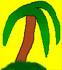 Palm